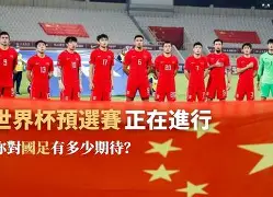 包含世界杯预选赛场激战连连，竞技水平持续提升的词条