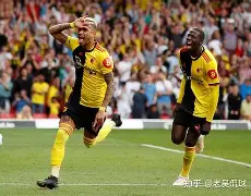 关于沃特福德球员表现尽善尽美，客场继续取胜的信息