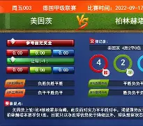 包含美因茨球员成功捐赠慈善机构，积极回馈社会的词条