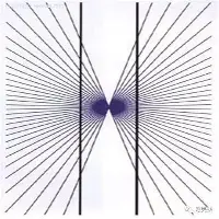 弗朗西斯科-卡波特主场破门，佛罗伦萨夺得胜利的简单介绍